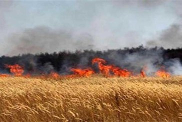 سليانة: السيطرة على حريق شبّ بأرض زراعية في منطقة الشوايبية