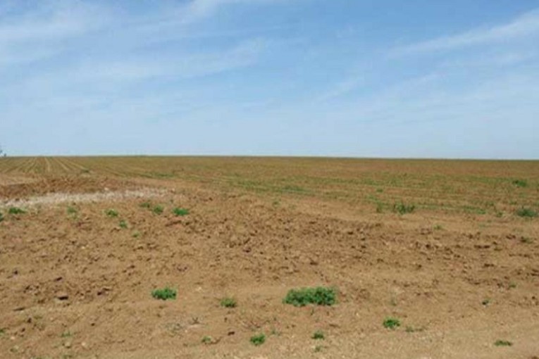 مدنين: إسترجاع عقار دولي فلاحي يمسح حوالي 35 هكتارا