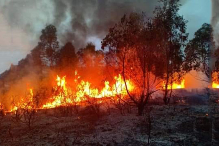 بنزرت: السيطرة على حريق بسجنان
