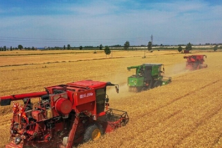 جندوبة: فلاّحون يشتكُون ضُعف تدفّق مياه الري وانعكاساتها السلبيّة على مُستغلاتهم الفلاحيّة