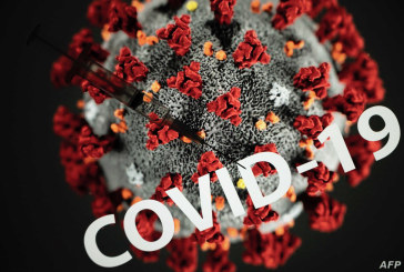 دراسة حديثة تكشف مصدر فيروس كورونا