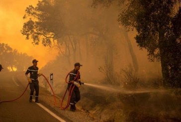 إيطاليا: حرائق الغابات تستعر وتُجبر المئات على الهروب