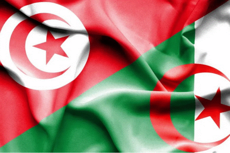 تبون يستقبل الطبوبي