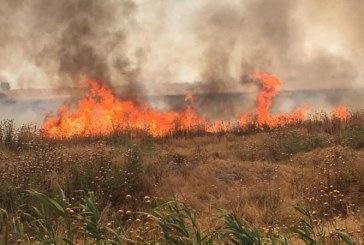 منوبة: إخماد حريق أتى على بقايا حصيدة وأعشاب جافة وأسيجة شوكية