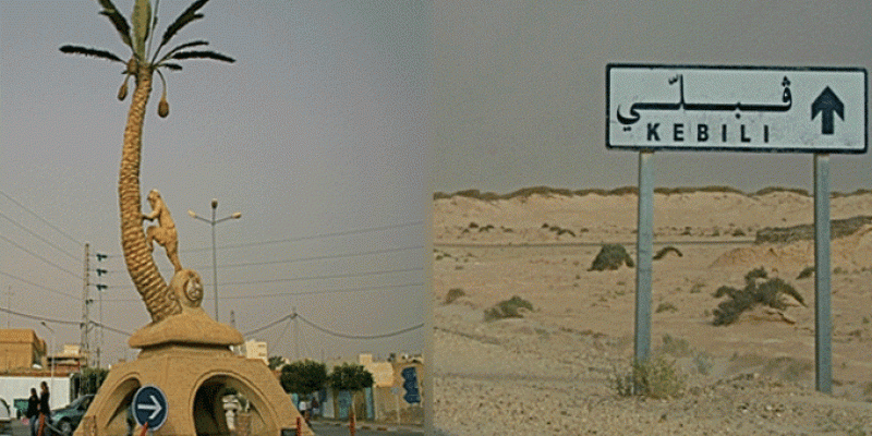 برنامج التمكين الإقتصادي للفئات الهشة: انتفاع ولاية قبلي بقسط ثان قيمته 100 ألف دينار