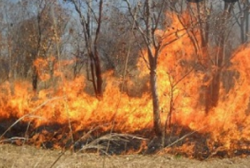 سليانة: السيطرة على حريق جبل مزاتة ببرقو بنسبة 90 %