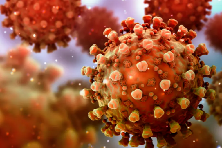 قبلي: إعادة توزيع مراكز التلقيح بمختلف المعتمديات