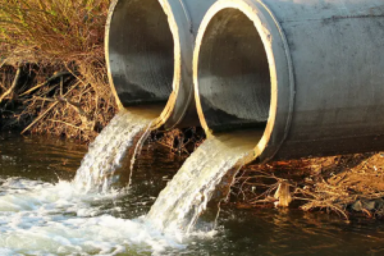 منتدى الحقوق يُحمّل الديوان الوطني للتطهير مسؤولية تدهور الحياة البحرية في السواحل