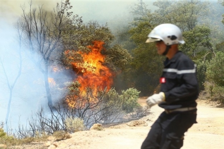 انتشر إلى الغابات المحاذية لمحطّة الاستخلاص بمرناق: السيطرة على حريق هنشير خليل