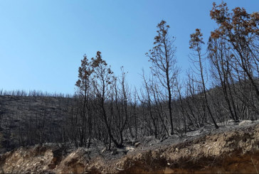 مرناق: تواصل عملية التبريد بعد إخماد نيران حريق قرب محطة الاستخلاص