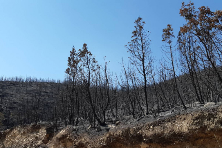 مرناق: تواصل عملية التبريد بعد إخماد نيران حريق قرب محطة الاستخلاص