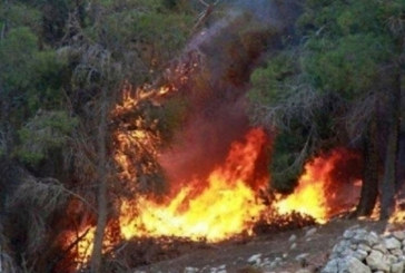 برقو: عودة اشتعال النيران بمرتفعات جبل البياض