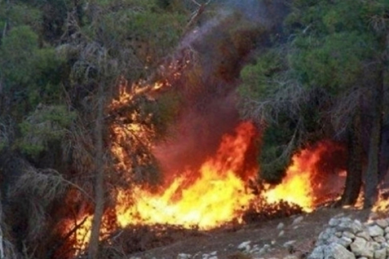 برقو: عودة اشتعال النيران بمرتفعات جبل البياض