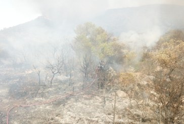 برقو: تجدّد إشتعال جيوب نارية وإنفجار ألغام من مخلفات الحرب العالمية الثانية