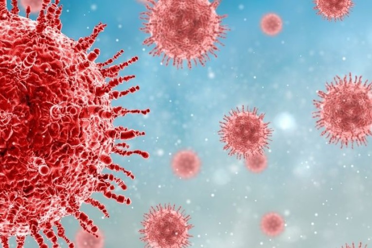 “القنطور” متفرع جديد من الكوفيد-19