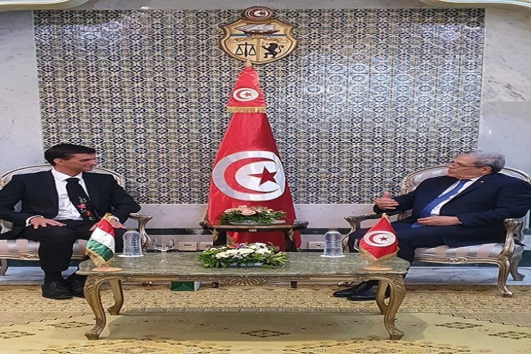 بمناسبة انتهاء مهامه: السفير المجري يؤدي زيارة توديع للجرندي