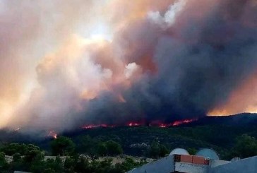 المدير الجهوي للحماية ببن عروس: السيطرة “مبدئيا” على حريق جبل بوقرنين