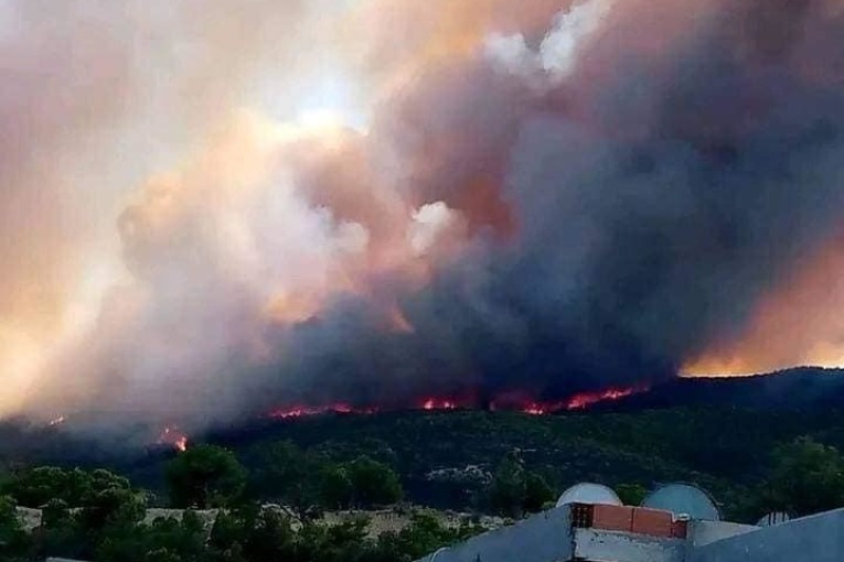 المدير الجهوي للحماية ببن عروس: السيطرة “مبدئيا” على حريق جبل بوقرنين