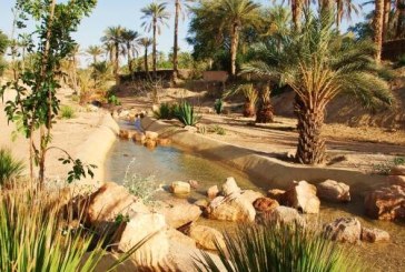 حزوة: دخول مجموعة من الآبار التعويضية والتدعيمية لفائدة الواحات حيز الإستغلال