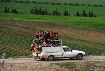 85 % من النساء في الوسط الريفي والمناطق الحدودية صوتن للدستور كشكل من أشكال العقاب لكل منظومة ما قبل 25 جويلية