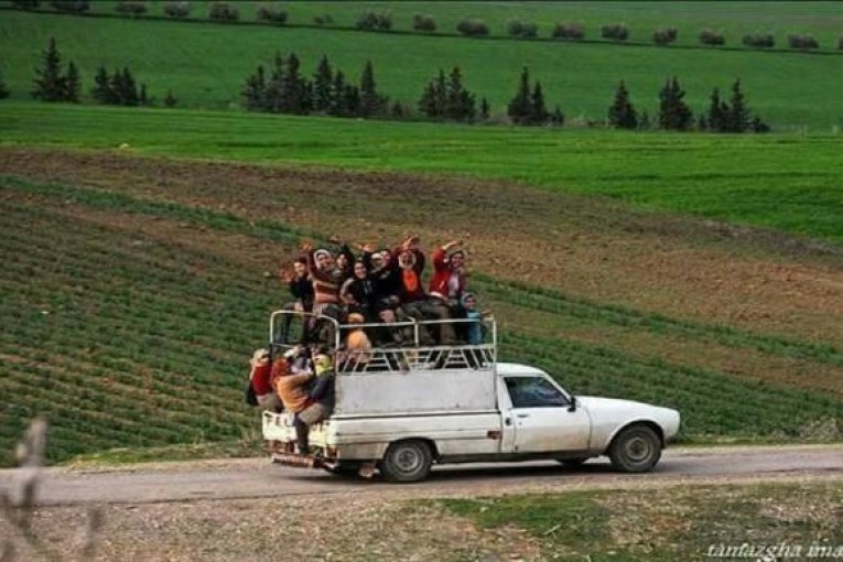 85 % من النساء في الوسط الريفي والمناطق الحدودية صوتن للدستور كشكل من أشكال العقاب لكل منظومة ما قبل 25 جويلية