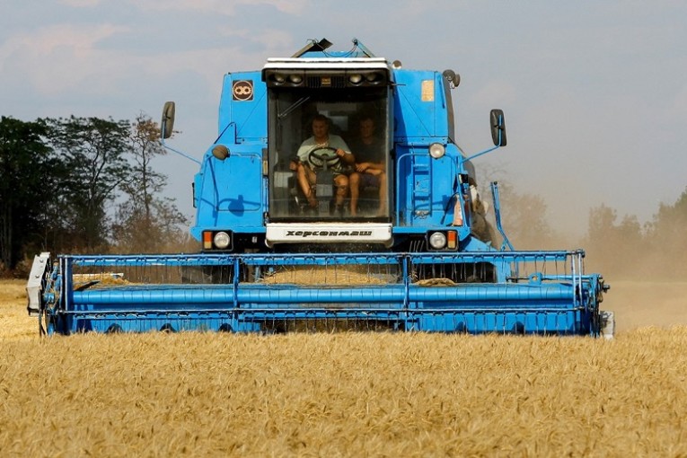 اتحاد أوكراني: حصاد 11.8 مليون طن من الحبوب حتى الآن
