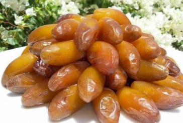 وزارة الفلاحة تدعو منتجي التمور إلى إيداع مطالبهم للتزود بشباك الناموسية والبلاستيك