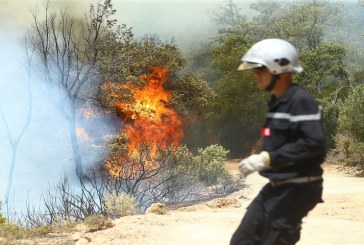 خبير بيئي: باعثون عقاريون ورجال أعمال وراء عديد الحرائق في تونس