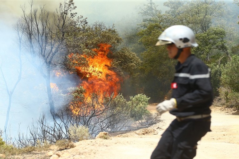 خبير بيئي: باعثون عقاريون ورجال أعمال وراء عديد الحرائق في تونس