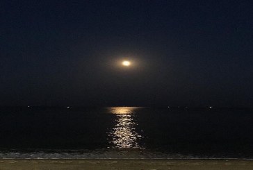 الليلة : درجات الحرارة تتراوح بين 24 و29 درجة