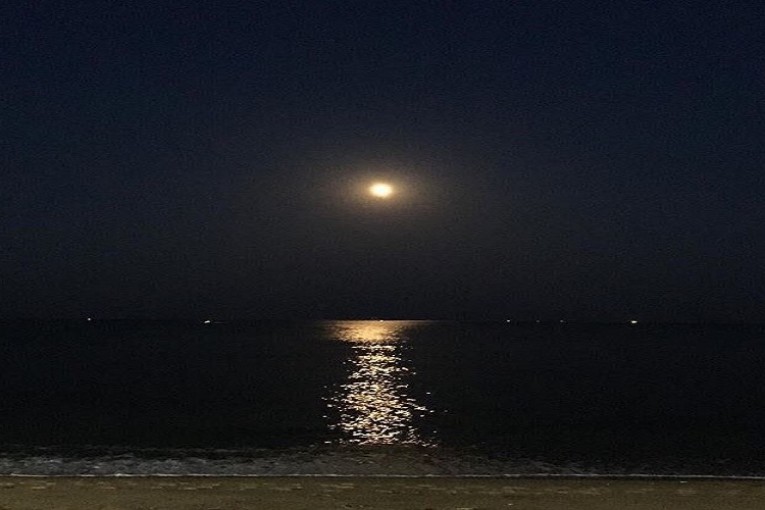 الليلة : درجات الحرارة تتراوح بين 24 و29 درجة