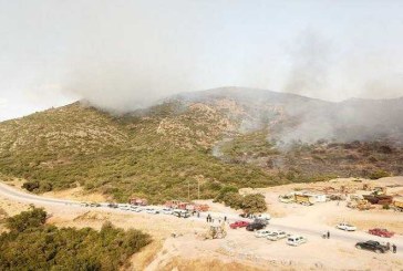 سليانة: السيطرة نهائيا على حريق جبل برقو