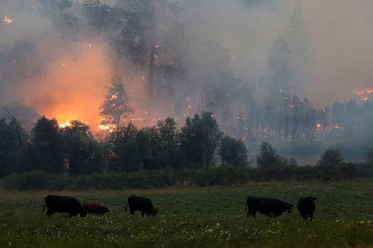 حريق غابات يجبر 2000 من سكان شمال كاليفورنيا على النزوح