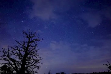 حالة الطقس الليلة