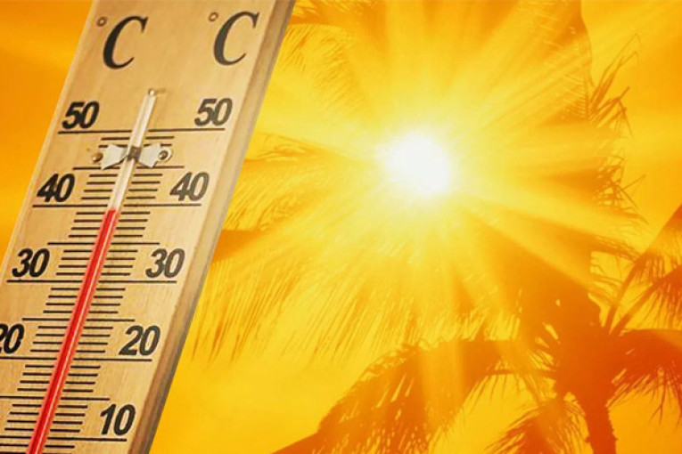 اليوم.. دخول ‘اوسو’