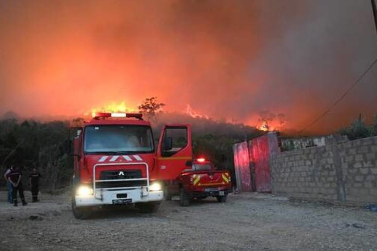 سليانة: النيابة العمومية تأذن بالبحث في حريق جبل برقو