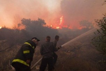 كسرى: اندلاع حريق بجبل وادي المالح