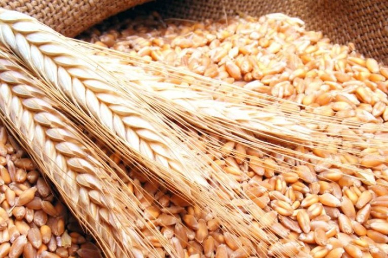 تونس تجمع 6.7 مليون قنطار من الحبوب