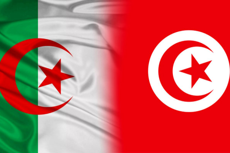 تونس والجزائر تؤكدان أهمية دفع المشاريع المشتركة في المناطق الحدودية