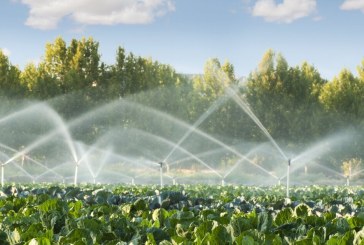 جندوبة: مزارعو التبغ يستنكرون الانقطاعات المتكرّرة لمياه الري