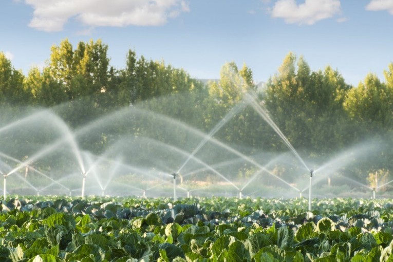 جندوبة: مزارعو التبغ يستنكرون الانقطاعات المتكرّرة لمياه الري