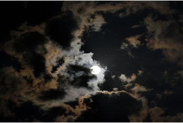 الليلة: رياح ضعيفة الى معتدلة والبحر قليل الإضطراب