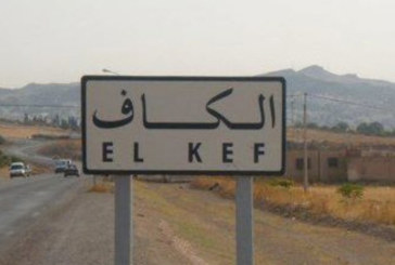 بطاقة تشغيلية تفوق الـ100 موطن شغل: المصادقة على إسناد مقسمين لإنجاز وحدتين صناعيتين بالكاف