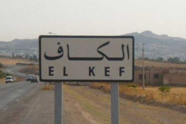 بطاقة تشغيلية تفوق الـ100 موطن شغل: المصادقة على إسناد مقسمين لإنجاز وحدتين صناعيتين بالكاف