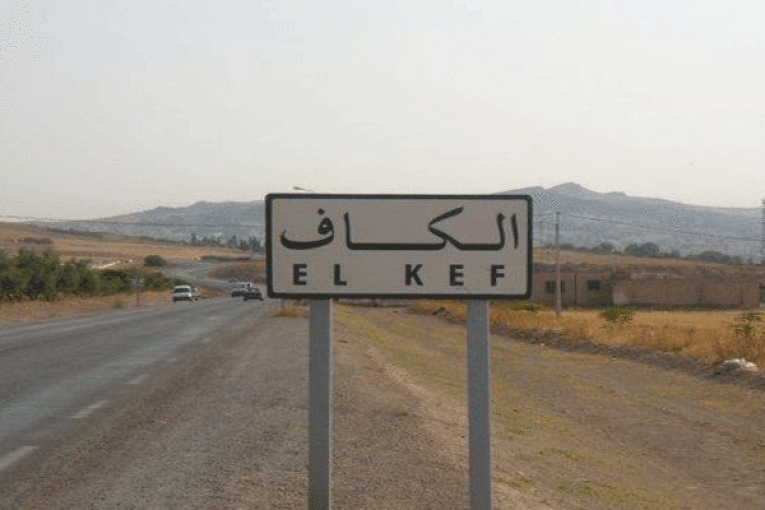 الكاف: تدعيم مستشفيات الجهة بـ 13 طبيبا مختصا و39 إطارا شبه طبي