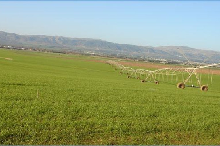 منوبة: إسترجاع 32 هك من أراضي الدولة الفلاحية