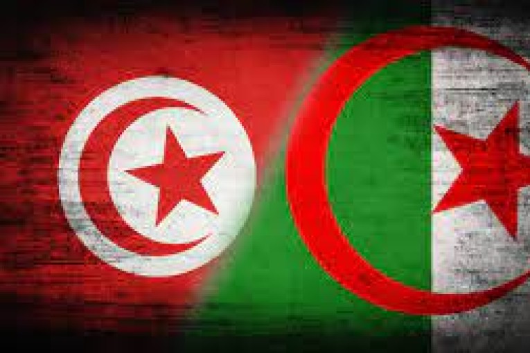 السفير الجزائري: طائرتان عسكريتان جزائريتان باشرتا مهامهما في السيطرة على حريق بوقرنين