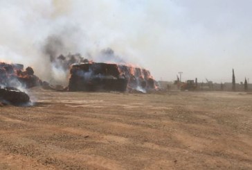 جندوبة: إخماد حرائق في بوسالم وبلطة بوعوان