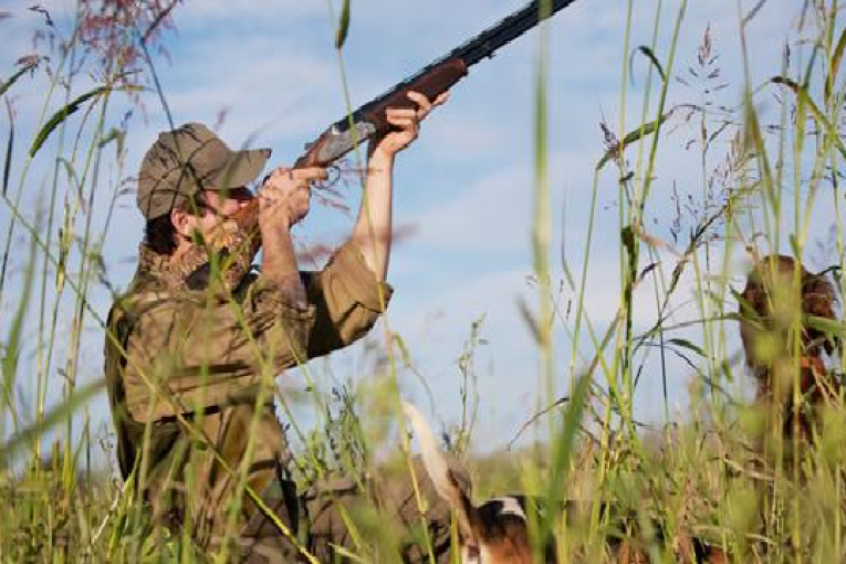 منع الصيد البري خلال يوم الاستفتاء