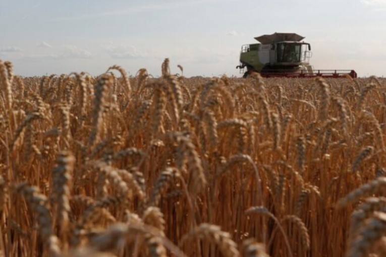 تحملان أطنانا من الزيت والقمح: سفينتا حبوب تغادران أوكرانيا